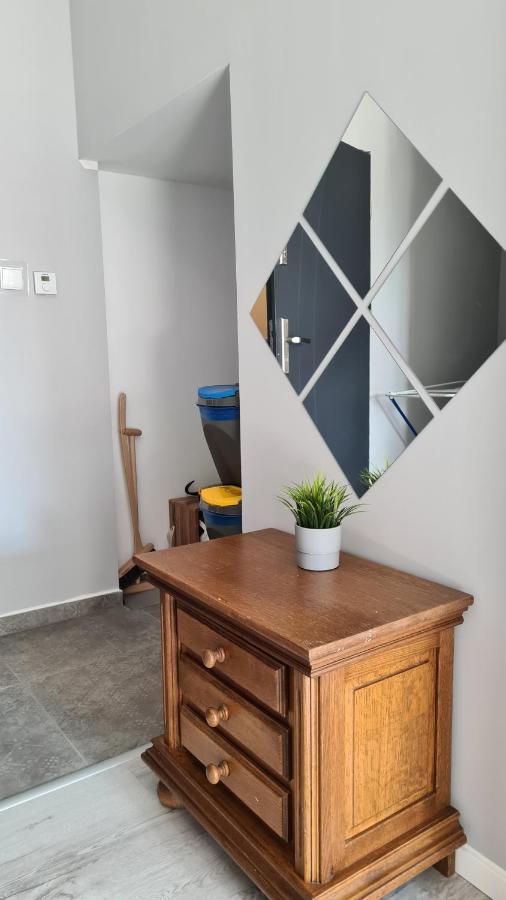 Urocze Apartamenty Na Wsi Goledzinow Екстер'єр фото